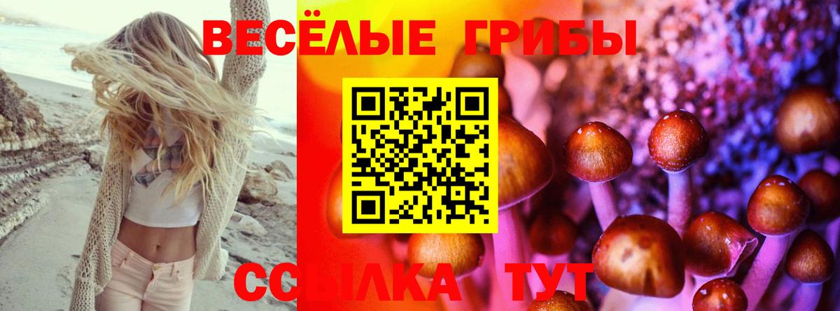 Галлюциногенные грибы Magic Shrooms  Псилоцибиновые грибы прущие грибы  Вход с VPN  Джанкой 
